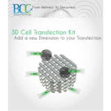 3D-DNA24 Cell Transfection Kit