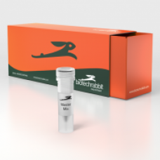 UPta™ Taq PCR Master Mix, lyophilized, 2×