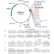 RTS pIVEX E. coli His-tag, 2nd Gen. Vector Set