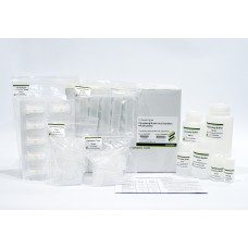 Favorprep™ Circulating Nucleic Acid Isolation Mini Kit, 50 preps