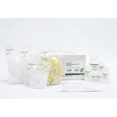 Favorprep™ Stool DNA Isolation Mini Kit 