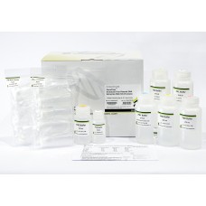 Favorprep™ Endotoxin-Free Plasmid Extraction Maxi Kit