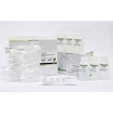 Favorprep™ Plasmid Extraction Midi Kit 