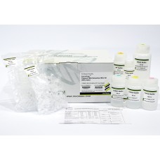 Favorprep™ Plasmid Extraction Mini Kit