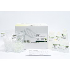 Favorprep™ Blood/Cultured Cells Genomic DNA Extraction Mini Kit 