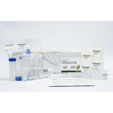 Favorprep™ Blood/Cultured Cells Total RNA Extraction Maxi Kit