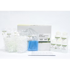 Tissue Genomic DNA Extraction Micro Elute, with Proteinase K Powder 