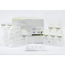 Favorprep™ Plasmid Extraction Maxi Kit