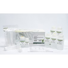 Favorprep™ Endotoxin-Free Plasmid Extraction Maxi Plus Kit