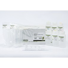 Favorprep™ Plasmid Extraction Maxi Plus Kit