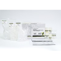 Favorprep™ Bacterial Genomic DNA Extraction HE Mini Kit 