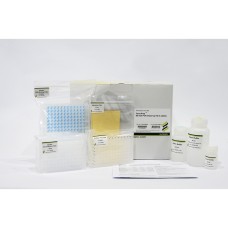 Favorprep™ PCR Clean Up 96-Well Kit 