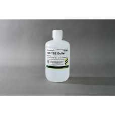 FavorPrep™ 10X MOPS Buffer (1 L)