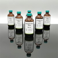 Directly Straight PCR Lysis Reagent 