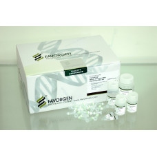 FavorPrep Genomic DNA Clean-Up Kit 