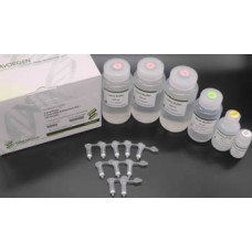 Food DNA Extraction Kit, 50 prep