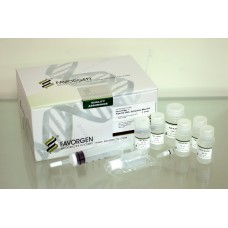 Plasmid DNA Extraction Maxi Kit, EndoToxin Free, Ion Exchange
