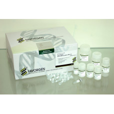 Stool DNA Isolation Mini Kit, with Proteinase K Powder 