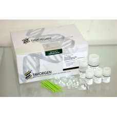 Fungi/Yeast genomic DNA Extraction Mini kit