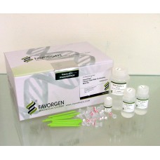 Tissue Total RNA Mini/Maxi Kit 