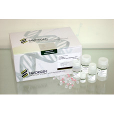 Viral Nucleic Acid Extraction Kit