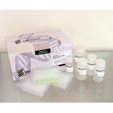 96-well Viral RNA/DNA Extraction Kit