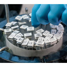 Labels for Cryo Canes, Metal Racks & Canisters