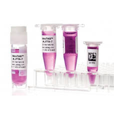 Standard Cryogenic Labels