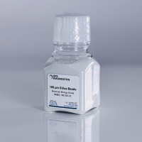 100 µm Molecular Biology Grade Silica Beads, 200 gm  