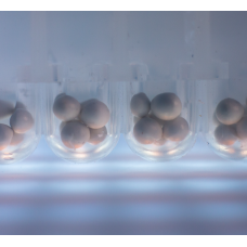 1.4 mm Molecular Biology Grade Zirconium Beads, 96 Well Pre-Filled Plate, 250 mg/well, with Strip Caps 