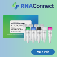 RNAConnect