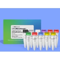 uMRT cDNA Synthesis & Amplification Kit 