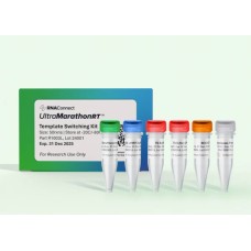 uMRT Template Switching Kit