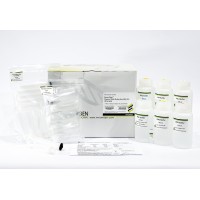 FavorFilter™ Plasmid Extraction Midi Kit 