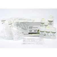 Favorprep™ Plasmid Extraction Mini Kit 