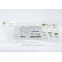 Favorprep™ Plasmid Extraction Maxi Plus Kit 