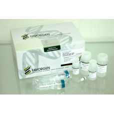 Blood Genomic DNA Extraction MAXI Kit (With Proteinase K Powder)