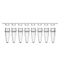 0,2 ml 8-Strip qPCR Tubes, with clear cap, PakGent 